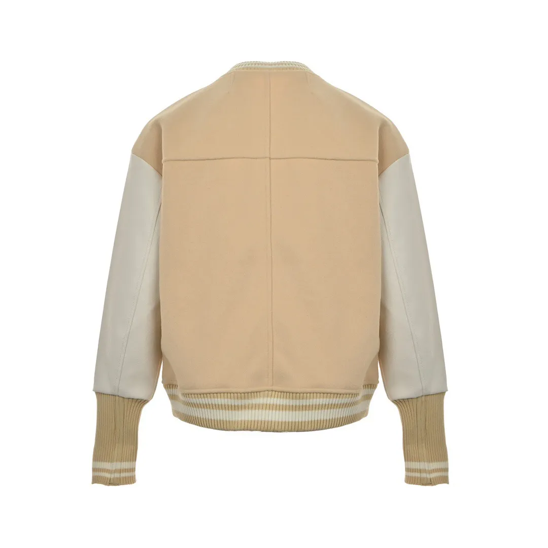 Louis Vuitton/Louis Vuitton 24Fw Pegasus towel embroidered baseball jacket